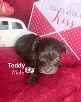 processed/a60ec7e7-8053-417e-809a-0f14b860686c/listing/e614aa3a-16ed-42f3-ad9c-5ce2a697d2b2/d81c08c7-2e85-4ac6-8fa8-41ff45348c0e