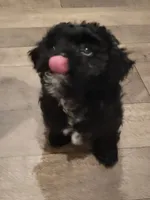 processed/a61016a9-f602-4f1c-ab0f-b1889404cb40/listing/1b907c9e-e196-4ea8-86d6-8ee3bbd0a7d2/4acb6077-aa3f-45ce-b375-3cdf37c05fec