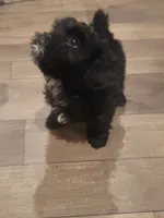 processed/a61016a9-f602-4f1c-ab0f-b1889404cb40/listing/1b907c9e-e196-4ea8-86d6-8ee3bbd0a7d2/a80c1b56-46e3-47e8-aaa2-e63e7ffe934b