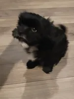 processed/a61016a9-f602-4f1c-ab0f-b1889404cb40/listing/3fafb410-5856-4447-b8e5-e420021cdf47/6097fe6d-3f6b-4104-ba5b-f392047774de