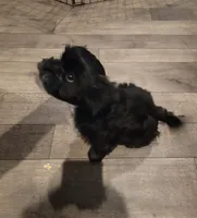 processed/a61016a9-f602-4f1c-ab0f-b1889404cb40/listing/3fafb410-5856-4447-b8e5-e420021cdf47/c91ab890-64dc-477b-8b6b-5297246d7adf