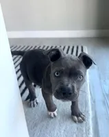 processed/a6169d1d-1ab1-474b-8c2f-0178c75a78ff/listing/d5e00aea-89b9-43f7-b678-2cd733f91bbe/1a3282e3-d3d9-44be-b505-795b66c0c999