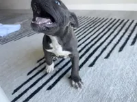 processed/a6169d1d-1ab1-474b-8c2f-0178c75a78ff/listing/d5e00aea-89b9-43f7-b678-2cd733f91bbe/1f24c7b6-d496-4fff-99f2-55be5c7f82cf