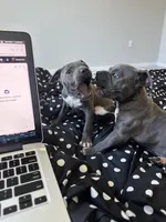 processed/a6169d1d-1ab1-474b-8c2f-0178c75a78ff/listing/d5e00aea-89b9-43f7-b678-2cd733f91bbe/200a4265-c0fb-4ecd-a908-5e7d3959be99