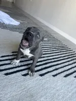 processed/a6169d1d-1ab1-474b-8c2f-0178c75a78ff/listing/d5e00aea-89b9-43f7-b678-2cd733f91bbe/7a2a7934-f8aa-41a9-9bcc-fdc7d312ad2e