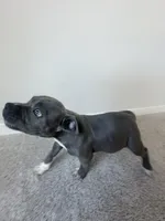 processed/a6169d1d-1ab1-474b-8c2f-0178c75a78ff/listing/d5e00aea-89b9-43f7-b678-2cd733f91bbe/8b51b3df-fd46-4ae7-8350-117b11fe7cd4