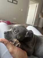 processed/a6169d1d-1ab1-474b-8c2f-0178c75a78ff/listing/d5e00aea-89b9-43f7-b678-2cd733f91bbe/a4f547db-9713-47fe-b966-8426a3891359