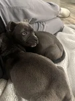 processed/a6169d1d-1ab1-474b-8c2f-0178c75a78ff/listing/d5e00aea-89b9-43f7-b678-2cd733f91bbe/e4641dca-81f4-4ef4-b217-d6caab4ebf43