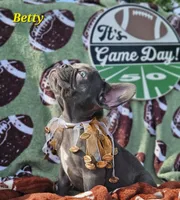 Betty, a female French Bulldog for sale in Heavener, OK – Photo 5 of 5