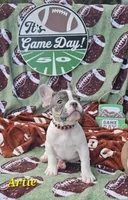 Artie, a male French Bulldog for sale in Heavener, OK – Photo 1 of 5