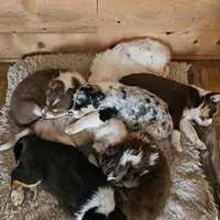 processed/a61ad42f-0881-401a-9018-dbe8a1471dea/facility/46616382-337b-4498-8bf4-b549712d320d