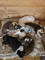 processed/a61ad42f-0881-401a-9018-dbe8a1471dea/facility/46616382-337b-4498-8bf4-b549712d320d