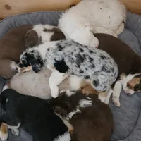 processed/a61ad42f-0881-401a-9018-dbe8a1471dea/facility/cc67a445-5974-42ae-8c7c-d2fd66bba3bb