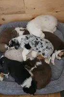 processed/a61ad42f-0881-401a-9018-dbe8a1471dea/facility/cc67a445-5974-42ae-8c7c-d2fd66bba3bb