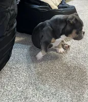 processed/a639cf97-0d20-4218-9c21-495f240c9697/facility/0874ea81-e7e5-47ee-8d5b-ede8c7228df3