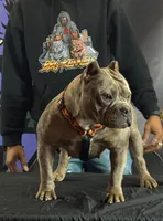 processed/a639cf97-0d20-4218-9c21-495f240c9697/facility/0c2db7ba-dda5-414d-a09b-6c38bcd242f2