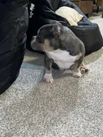 processed/a639cf97-0d20-4218-9c21-495f240c9697/facility/4fa50644-5577-4530-b8bc-506148d6fd25