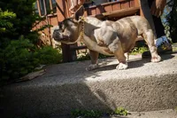 processed/a639cf97-0d20-4218-9c21-495f240c9697/facility/971971ee-90b1-468f-9bde-94003f47654a