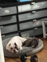 processed/a639cf97-0d20-4218-9c21-495f240c9697/facility/b99b9aef-d7aa-48a1-94e3-fbe5f02a4073