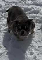 processed/a639cf97-0d20-4218-9c21-495f240c9697/facility/e28ad876-c9e1-4050-9175-65a5fbfcca10