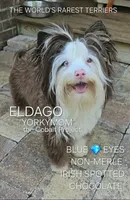 processed/a643fd74-99d6-44d7-8067-ee56df72438c/listing/37c58c15-361d-4405-aa6e-aecaa25e5ca6/098c2fa0-4352-49b3-8474-0fe5012c4f41