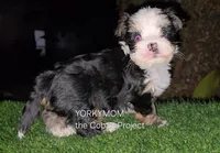 processed/a643fd74-99d6-44d7-8067-ee56df72438c/listing/37c58c15-361d-4405-aa6e-aecaa25e5ca6/32f48f0d-bcf2-45ce-be6a-4ce73fb613fa