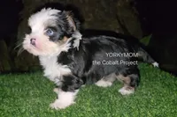 processed/a643fd74-99d6-44d7-8067-ee56df72438c/listing/37c58c15-361d-4405-aa6e-aecaa25e5ca6/9c4b439e-02ea-485d-a0b3-83ed4bd4f4d5