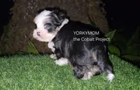 processed/a643fd74-99d6-44d7-8067-ee56df72438c/listing/37c58c15-361d-4405-aa6e-aecaa25e5ca6/e7b6ea11-55b1-4510-9d8a-3b999e9660b5