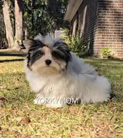 processed/a643fd74-99d6-44d7-8067-ee56df72438c/listing/6af02a3f-b093-432c-afbb-b347763a9a24/055ce65c-128c-433b-bb84-b33c126cbaa1