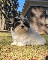 processed/a643fd74-99d6-44d7-8067-ee56df72438c/listing/6af02a3f-b093-432c-afbb-b347763a9a24/1448d48e-9188-4f40-acdc-9a2d46ebf8cb