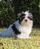 processed/a643fd74-99d6-44d7-8067-ee56df72438c/listing/6af02a3f-b093-432c-afbb-b347763a9a24/3b44e99a-df70-4d9c-b3b3-a9fca657f302