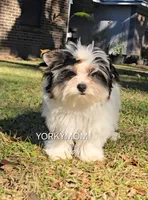 processed/a643fd74-99d6-44d7-8067-ee56df72438c/listing/6af02a3f-b093-432c-afbb-b347763a9a24/3d9e7c3a-2db7-4626-b2e8-302dbdce6def