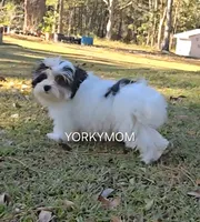 processed/a643fd74-99d6-44d7-8067-ee56df72438c/listing/6af02a3f-b093-432c-afbb-b347763a9a24/68b561e5-9aa8-4bd3-aaf0-d6948687633d