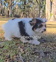 processed/a643fd74-99d6-44d7-8067-ee56df72438c/listing/6af02a3f-b093-432c-afbb-b347763a9a24/6b219f9e-1d3f-468d-a1b2-f71797aaa0ad