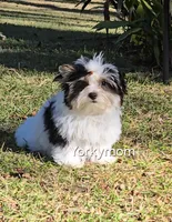 processed/a643fd74-99d6-44d7-8067-ee56df72438c/listing/6af02a3f-b093-432c-afbb-b347763a9a24/79b8d1a3-a0bd-44e3-9d2b-c60ff8ffc523