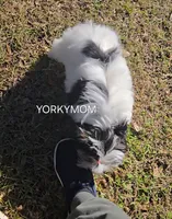 processed/a643fd74-99d6-44d7-8067-ee56df72438c/listing/6af02a3f-b093-432c-afbb-b347763a9a24/9c63f800-8159-4fe4-9b0a-d18ccf1060d8