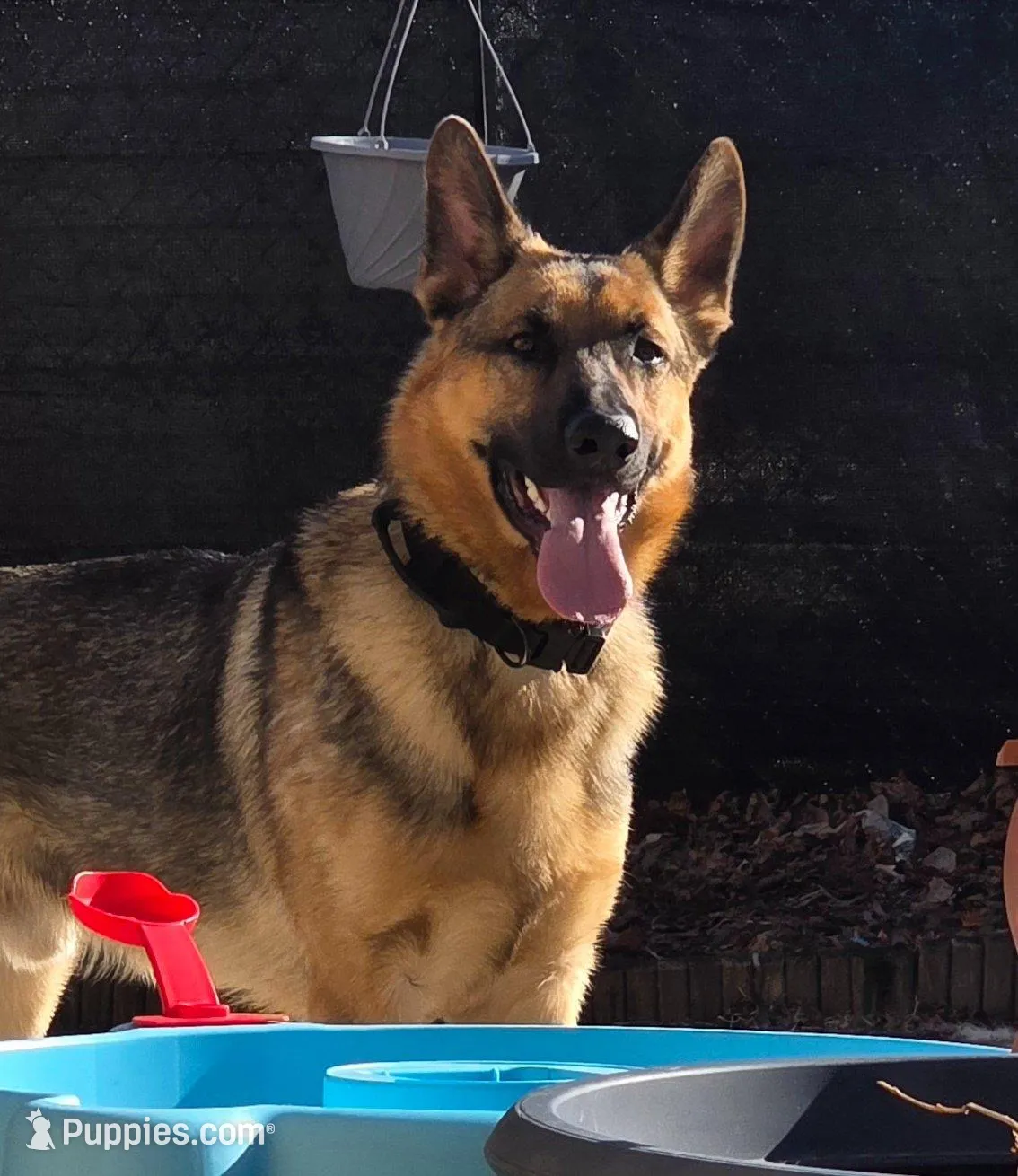 processed/a64f4826-284f-449b-8d29-f24cd999579a/facility/08c5f56d-82f0-4d99-9669-763292a2afe3