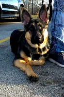 processed/a64f4826-284f-449b-8d29-f24cd999579a/facility/6118c9d5-5d1e-40af-b4f7-8d9c4ad4f333