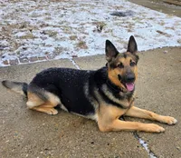 processed/a64f4826-284f-449b-8d29-f24cd999579a/facility/7867854c-3dd8-469d-bb61-198998f54b4a