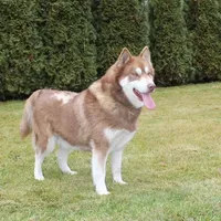 processed/a652f12a-d7e8-4a6b-ba2a-73d1d69cb0cc/facility/084e06e2-28bf-42d4-82b2-f9303f9315b1