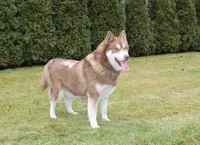 processed/a652f12a-d7e8-4a6b-ba2a-73d1d69cb0cc/facility/084e06e2-28bf-42d4-82b2-f9303f9315b1