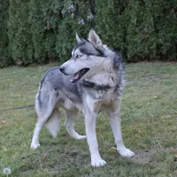 processed/a652f12a-d7e8-4a6b-ba2a-73d1d69cb0cc/facility/1af50776-d8c2-47d2-8a04-0ea13a907cf1