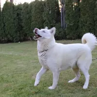 processed/a652f12a-d7e8-4a6b-ba2a-73d1d69cb0cc/facility/4a7477cb-6d33-48f2-a36e-e1dd134b2af1