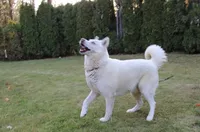 processed/a652f12a-d7e8-4a6b-ba2a-73d1d69cb0cc/facility/4a7477cb-6d33-48f2-a36e-e1dd134b2af1