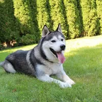 processed/a652f12a-d7e8-4a6b-ba2a-73d1d69cb0cc/facility/4ec08ad6-874d-4492-a7f0-5fbfcb275b54