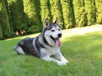 processed/a652f12a-d7e8-4a6b-ba2a-73d1d69cb0cc/facility/4ec08ad6-874d-4492-a7f0-5fbfcb275b54