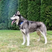 processed/a652f12a-d7e8-4a6b-ba2a-73d1d69cb0cc/facility/568709b4-6d6c-41e3-b257-c273949469f9