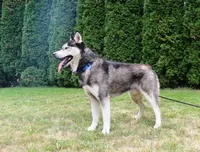 processed/a652f12a-d7e8-4a6b-ba2a-73d1d69cb0cc/facility/568709b4-6d6c-41e3-b257-c273949469f9