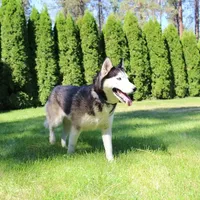 processed/a652f12a-d7e8-4a6b-ba2a-73d1d69cb0cc/facility/5f82b6b1-00a0-400c-973e-252703ce0f81