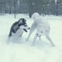 processed/a652f12a-d7e8-4a6b-ba2a-73d1d69cb0cc/facility/78778d5f-d6a6-47b0-ae67-d67bb82f6285